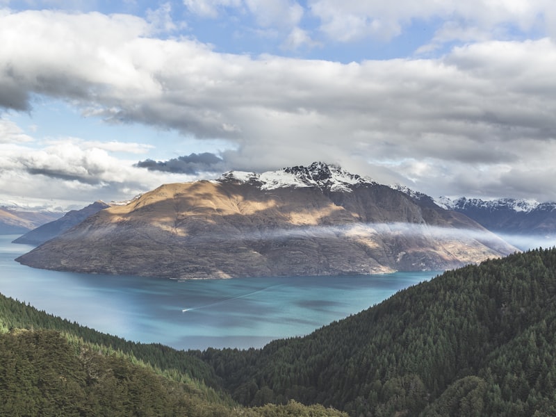 About NZCGBA
